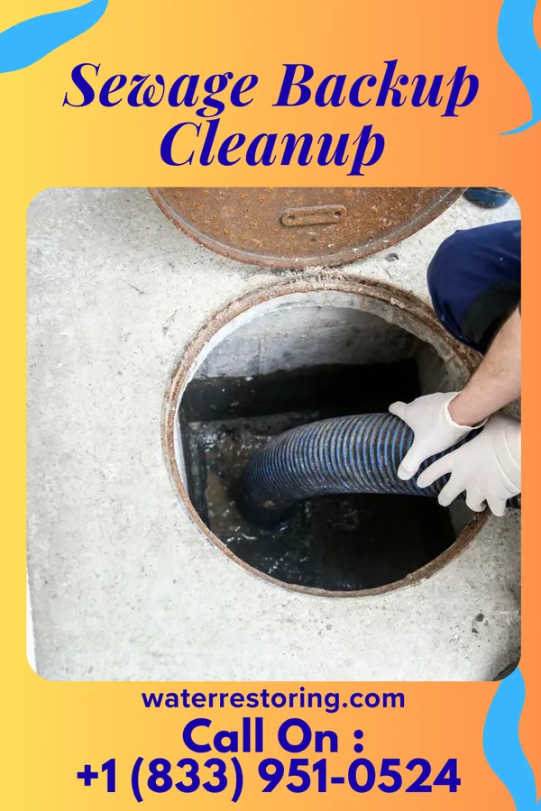 Sewage Backup Cleanup in Renova, MS
